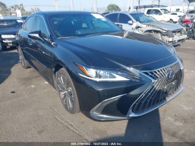 LEXUS ES 2022 58ada1c12nu015998