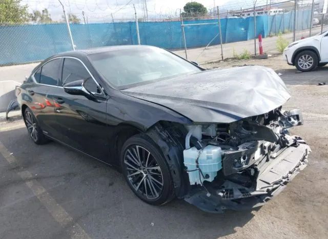 LEXUS ES 2022 58ada1c12nu016245