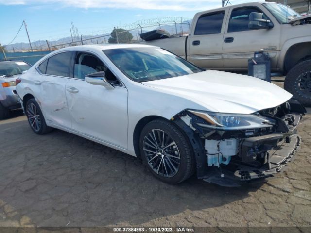 LEXUS ES 2022 58ada1c12nu018125