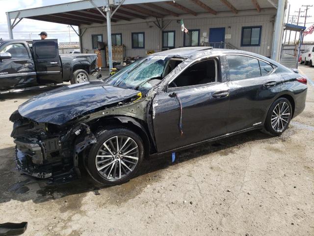 LEXUS ES300 2022 58ada1c12nu024331