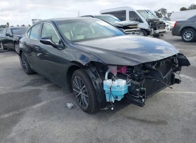 LEXUS ES 2022 58ada1c13nu024841