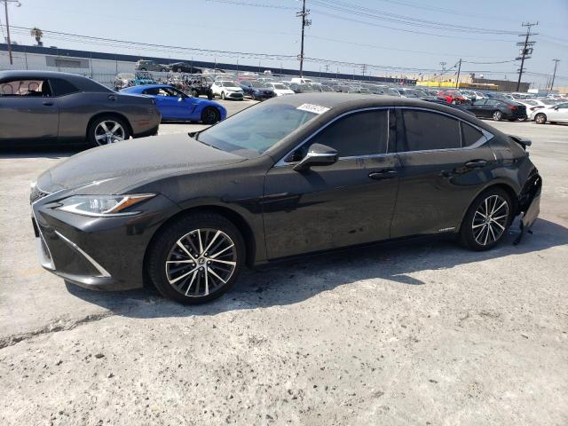 LEXUS ES300 2022 58ada1c14nu022869