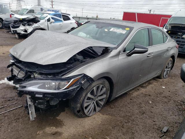 LEXUS ES300 2021 58ada1c15mu006324