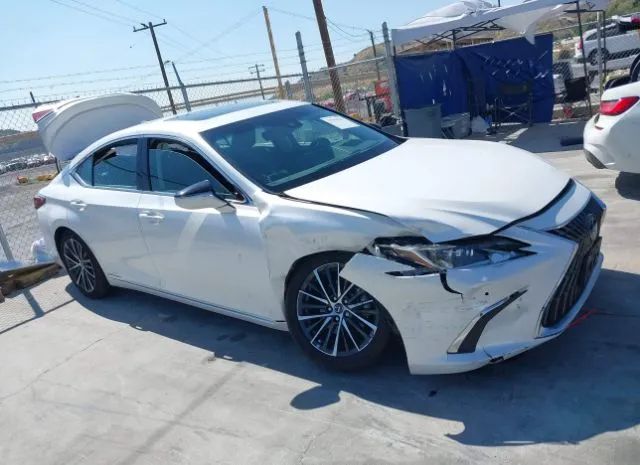 LEXUS ES 2022 58ada1c15nu016756