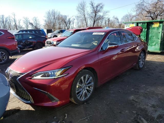 LEXUS ES300 2021 58ada1c16mu012035