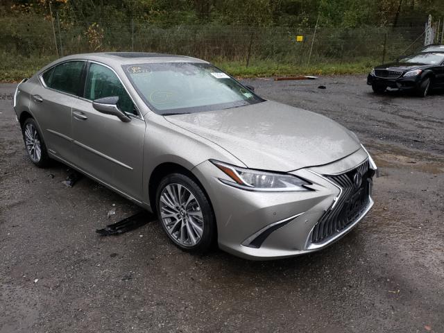 LEXUS ES 300H 2021 58ada1c17mu010200