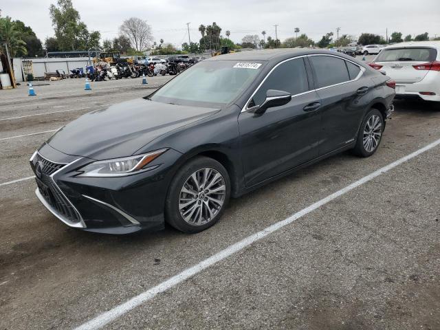 LEXUS ES300 2022 58ada1c17nu026611