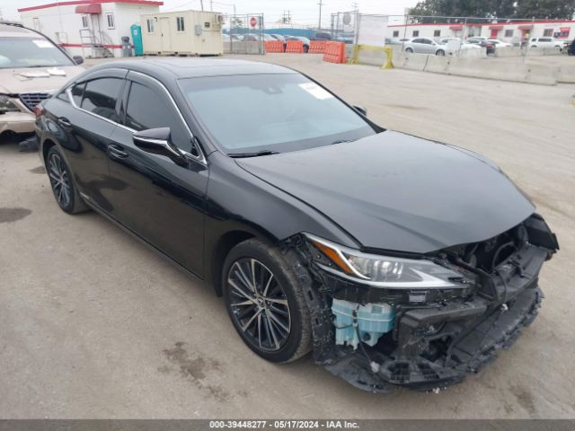 LEXUS ES 300H 2022 58ada1c18nu015908