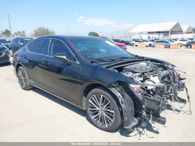 LEXUS ES 2022 58ada1c18nu025676