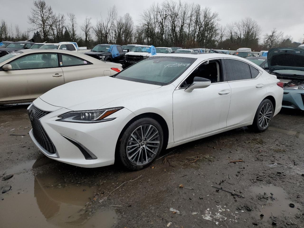 LEXUS ES 2023 58ada1c18pu031920