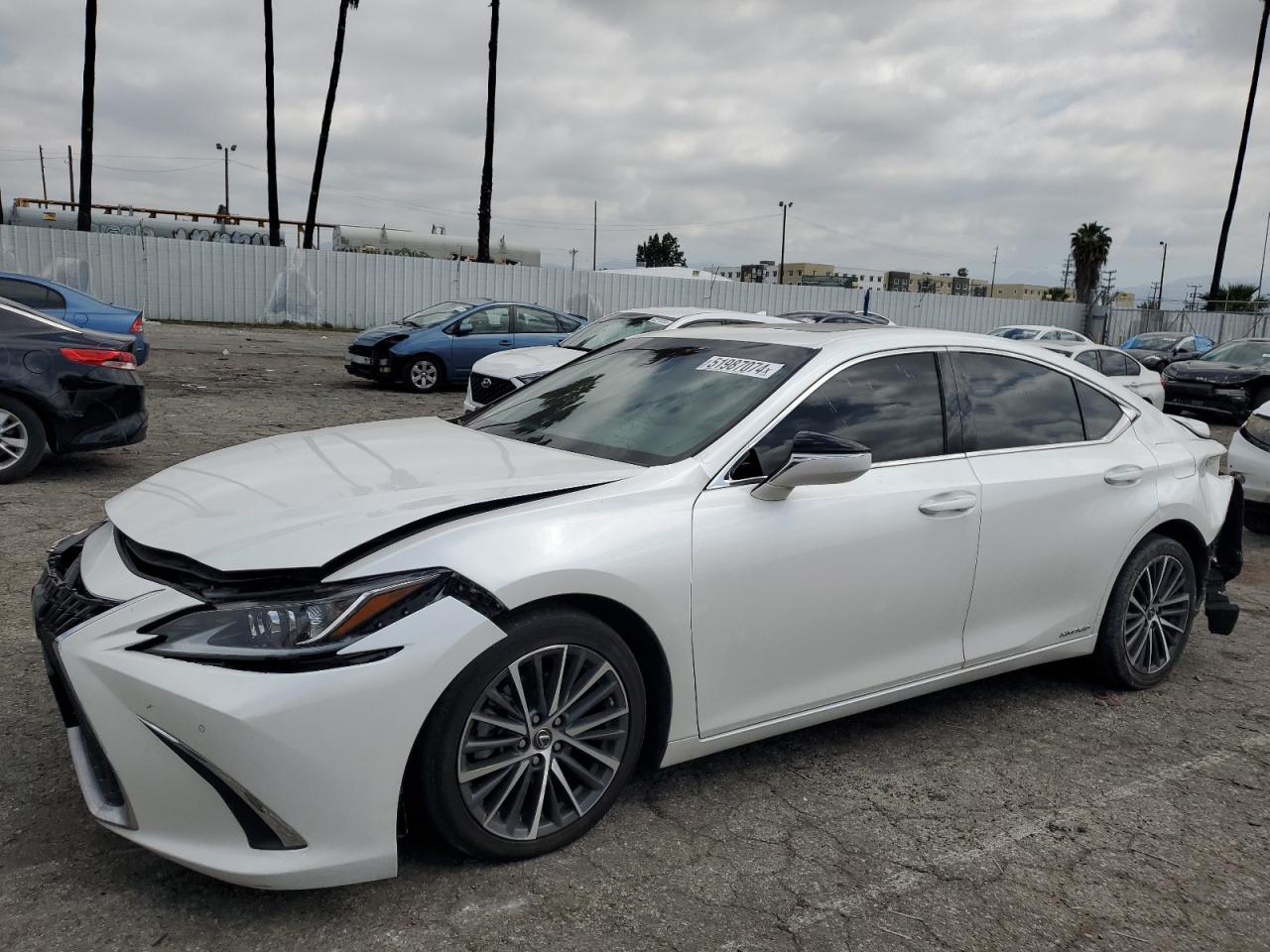 LEXUS ES 2022 58ada1c19nu013570