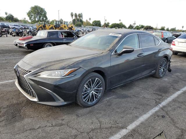 LEXUS ES 300H BA 2022 58ada1c19nu023077