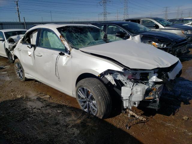 LEXUS ES 300H 2021 58ada1c1xmu007064