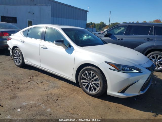 LEXUS ES 2022 58ada1c1xnu017546