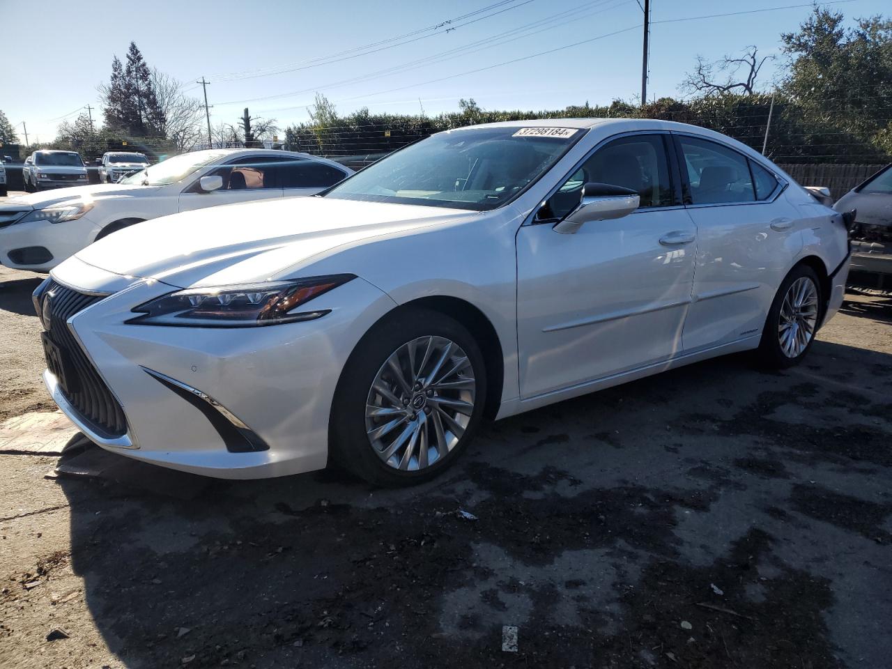 LEXUS NULL 2020 58ae21b11lu012607