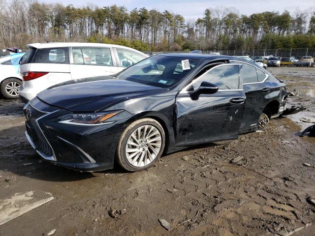 LEXUS ES 300H LU 2020 58ae21b12lu004838