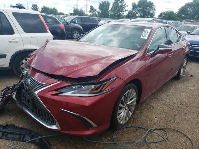 LEXUS ES300 2020 58ae21b12lu006167