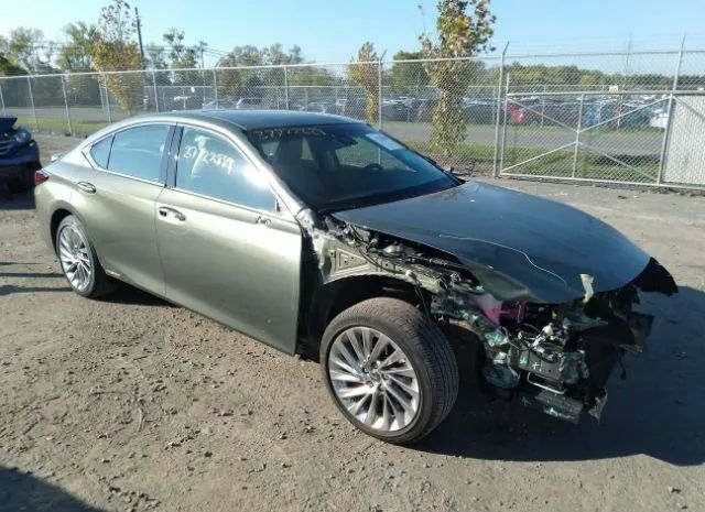 LEXUS NULL 2020 58ae21b13lu007571