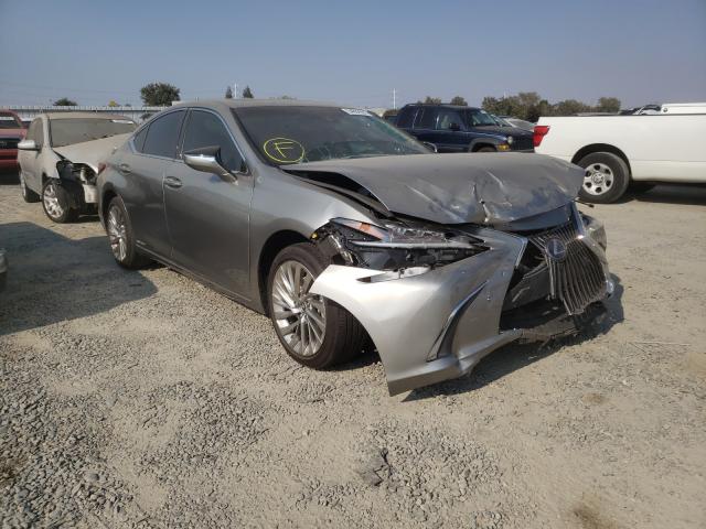 LEXUS NULL 2020 58ae21b18lu007274