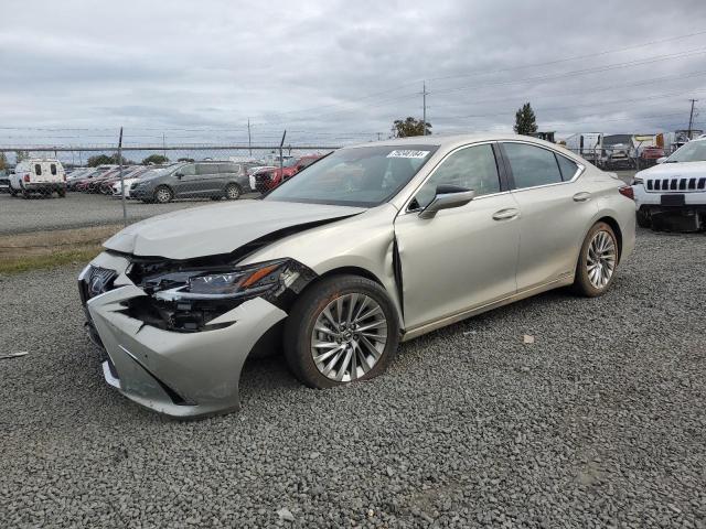 LEXUS ES 300H LU 2021 58aea1c10mu012293