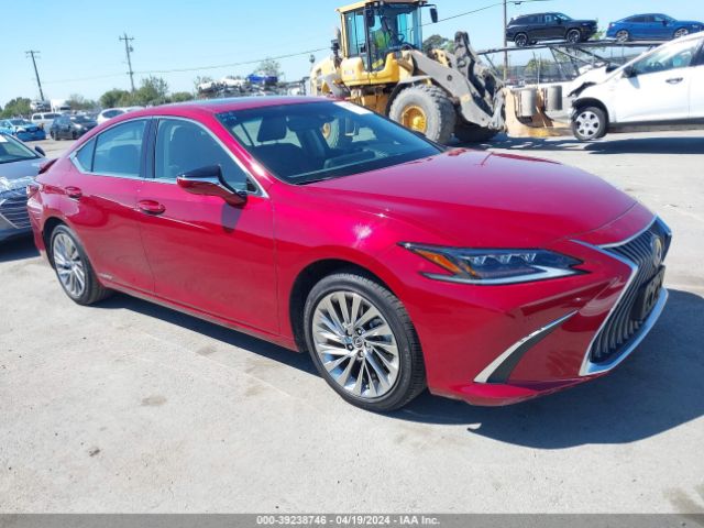 LEXUS ES 300H 2021 58aea1c12mu012473