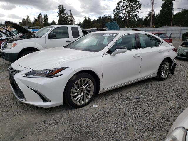 LEXUS ES300 2021 58aea1c13mu004625