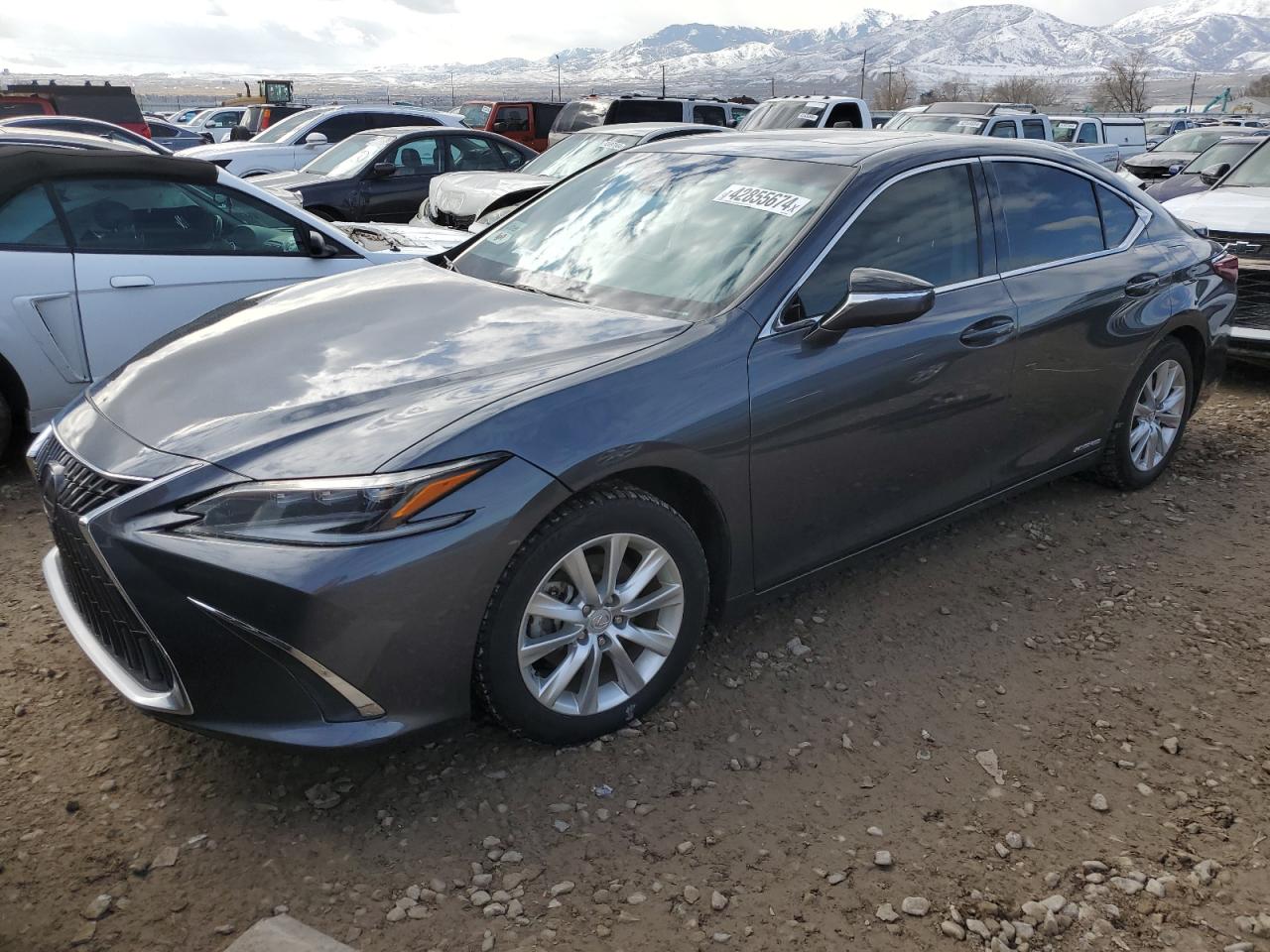 LEXUS ES 2022 58aea1c13nu014654