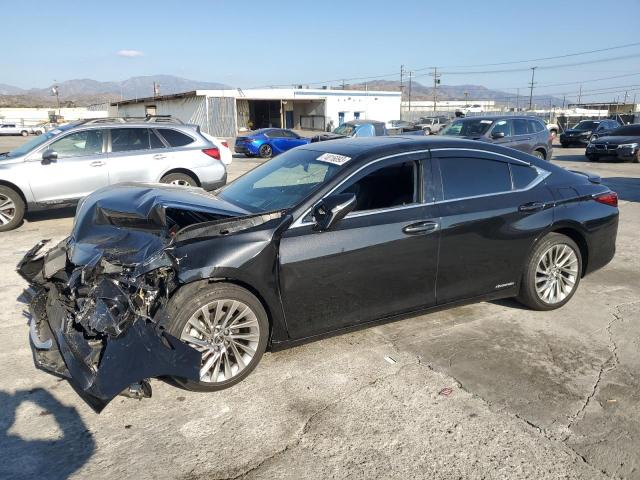 LEXUS ES300 2022 58aea1c13nu018848