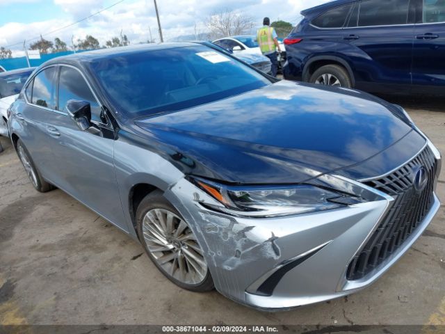 LEXUS NULL 2022 58aea1c14nu015246