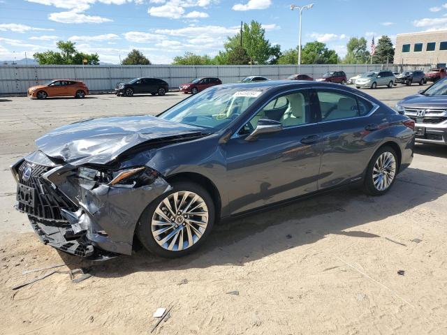 LEXUS ES300 2022 58aea1c14nu017241