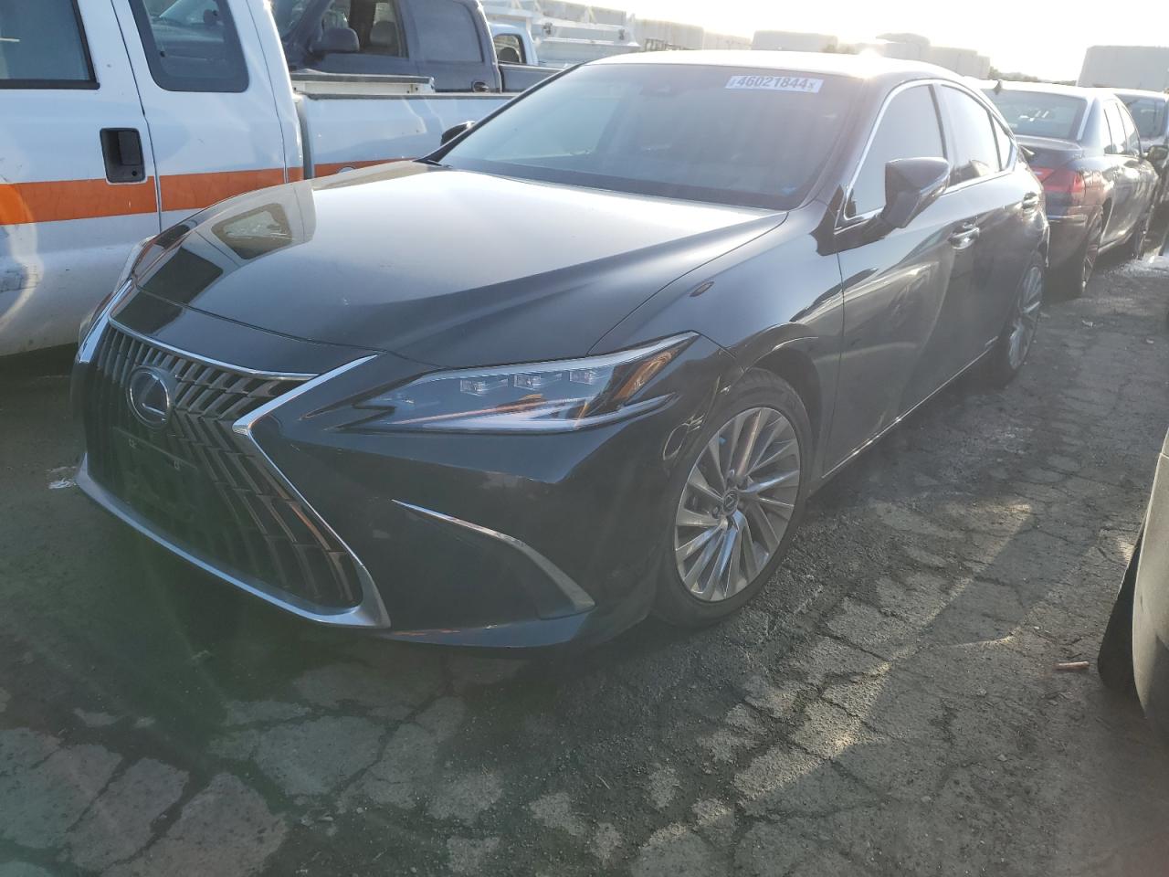 LEXUS ES 2022 58aea1c14nu019328