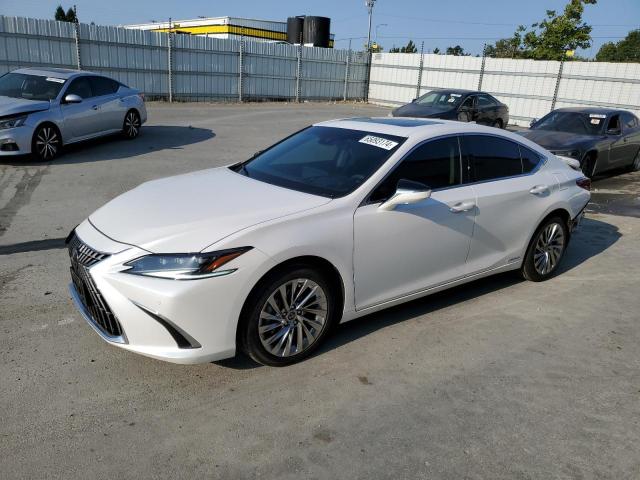 LEXUS ES300 2022 58aea1c15nu015479