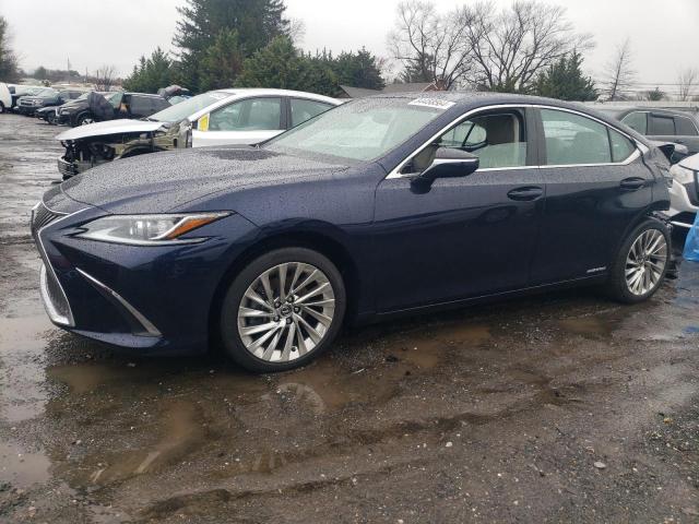 LEXUS ES 300H LU 2021 58aea1c17mu007687