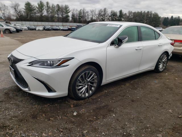 LEXUS ES 300H LU 2021 58aea1c1xmu009451