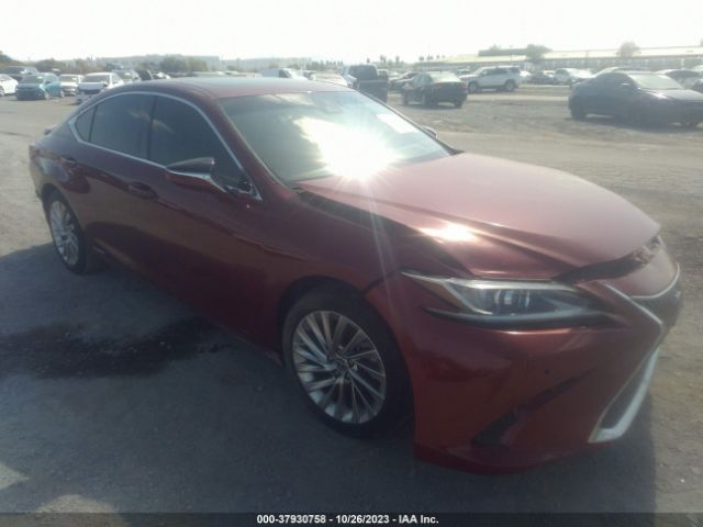 LEXUS NULL 2020 58af21b11lu008741