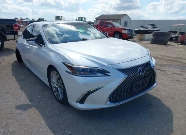 LEXUS ES 2021 58afa1c10mu003341