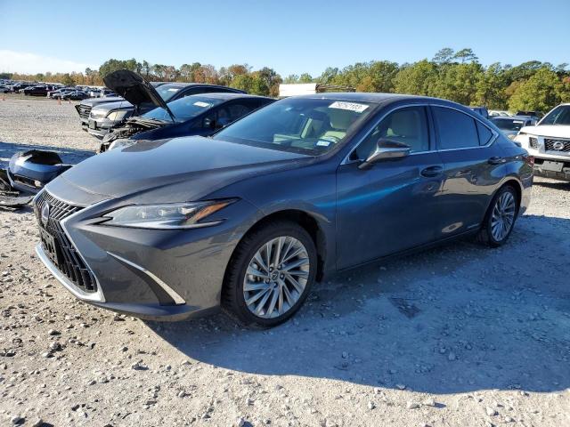 LEXUS ES300 2022 58afa1c10nu015250