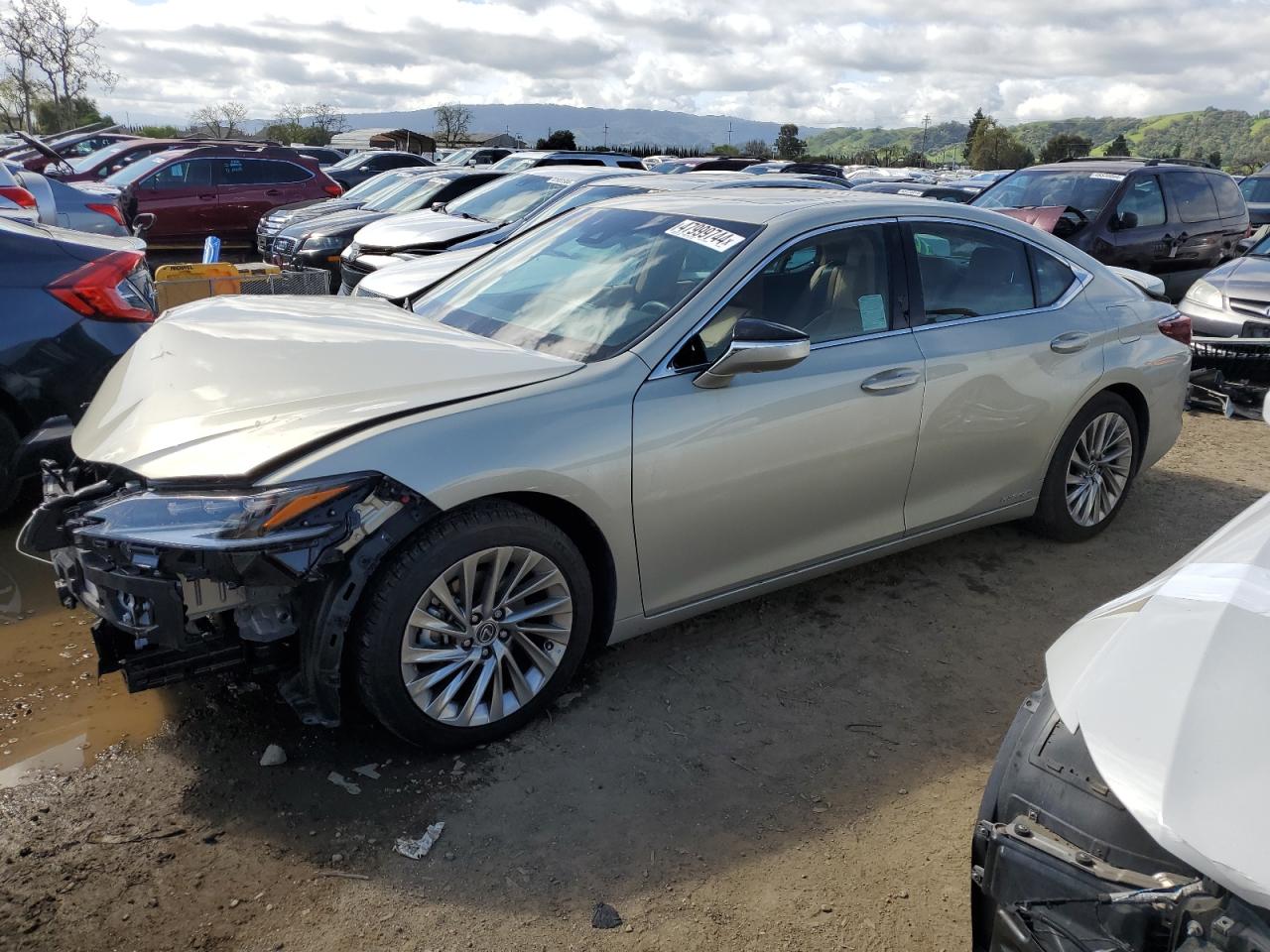 LEXUS ES 2022 58afa1c12nu016934