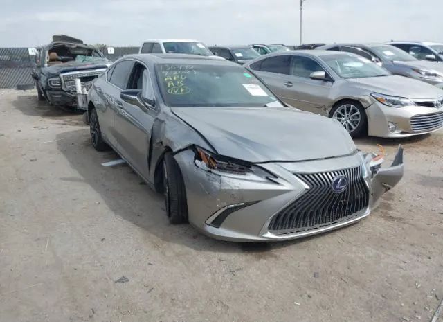 LEXUS ES 2021 58afa1c13mu008436