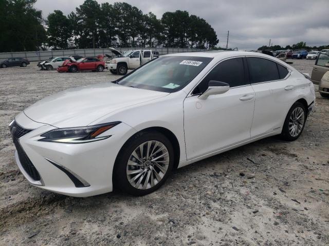 LEXUS ES300 2022 58afa1c13nu013279