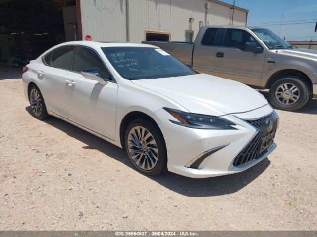 LEXUS ES 2024 58afa1c18ru039351