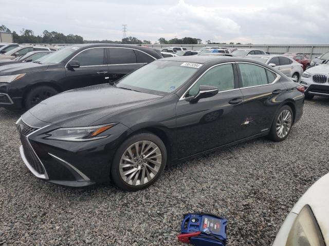 LEXUS ES 300H BA 2022 58afa1c19nu014159