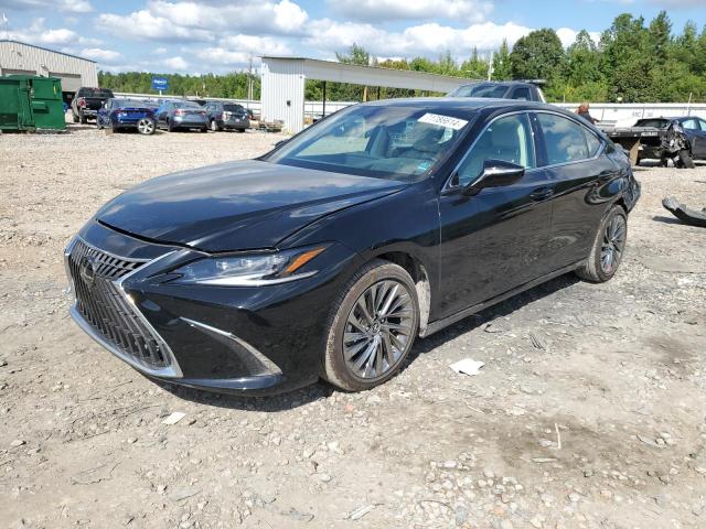 LEXUS ES 300H BA 2024 58afa1c19ru045613