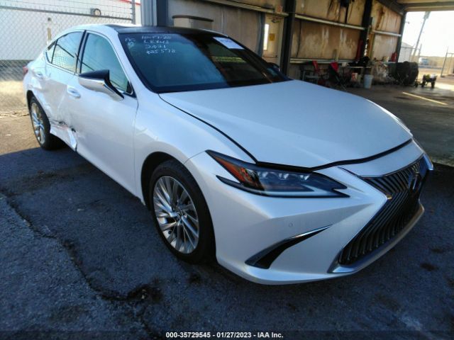 LEXUS NULL 2021 58afz1b19mu085578