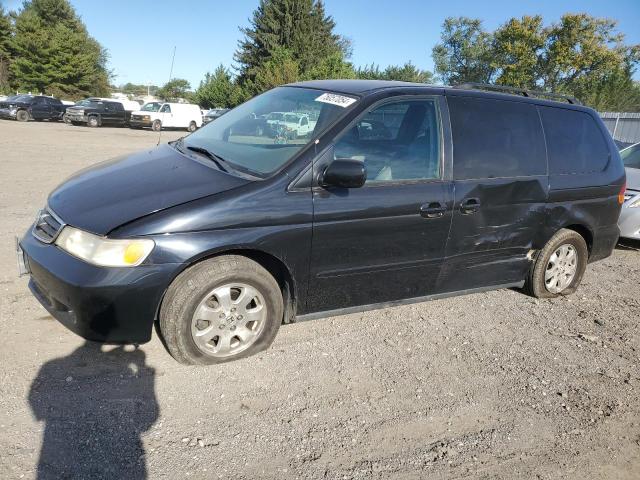 HONDA ODYSSEY EX 2003 5fnrl18023b101507