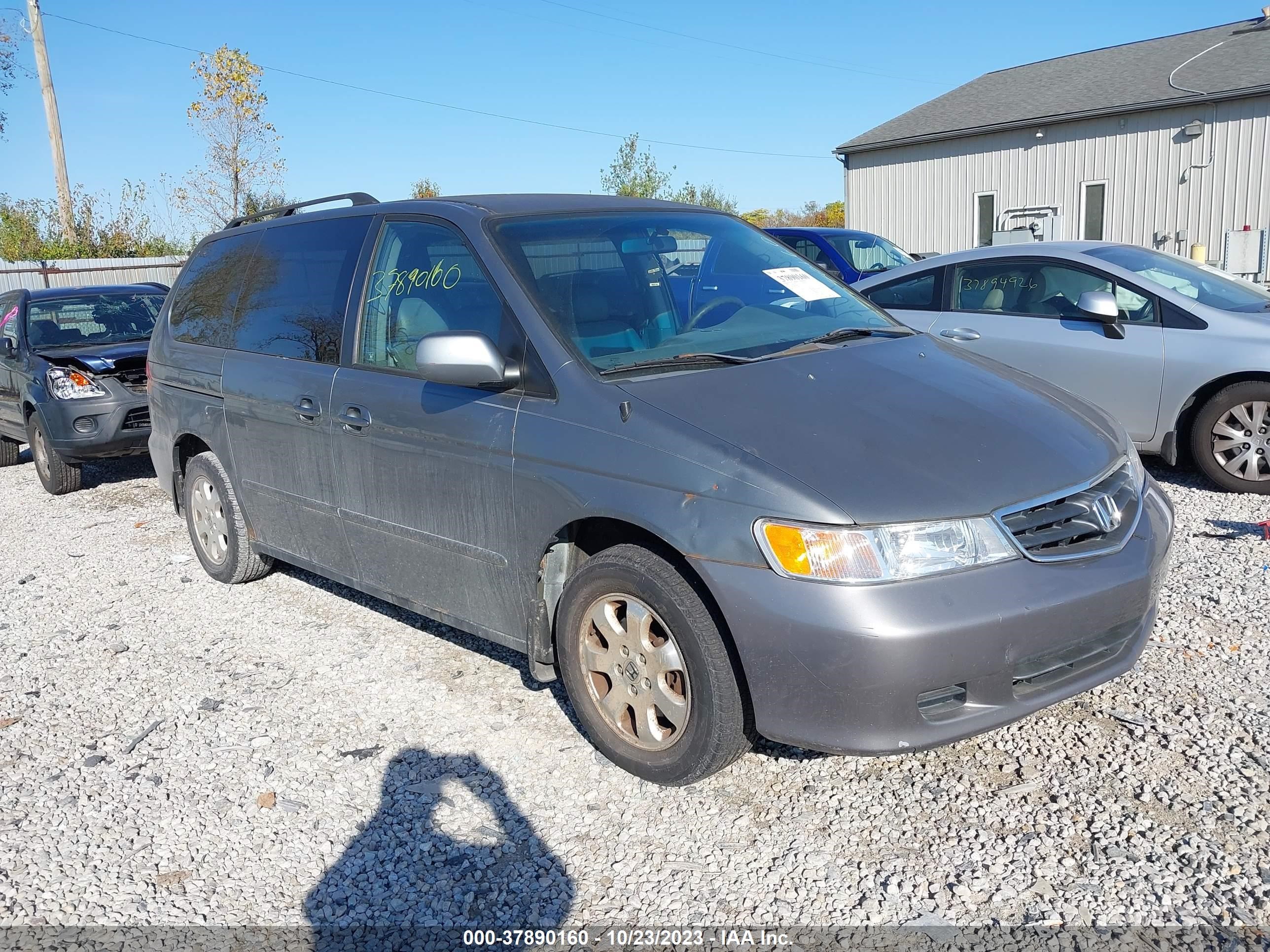 HONDA ODYSSEY 2002 5fnrl18082b028061