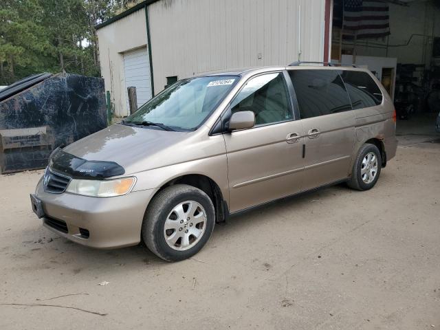 HONDA ODYSSEY EX 2004 5fnrl18624b021338