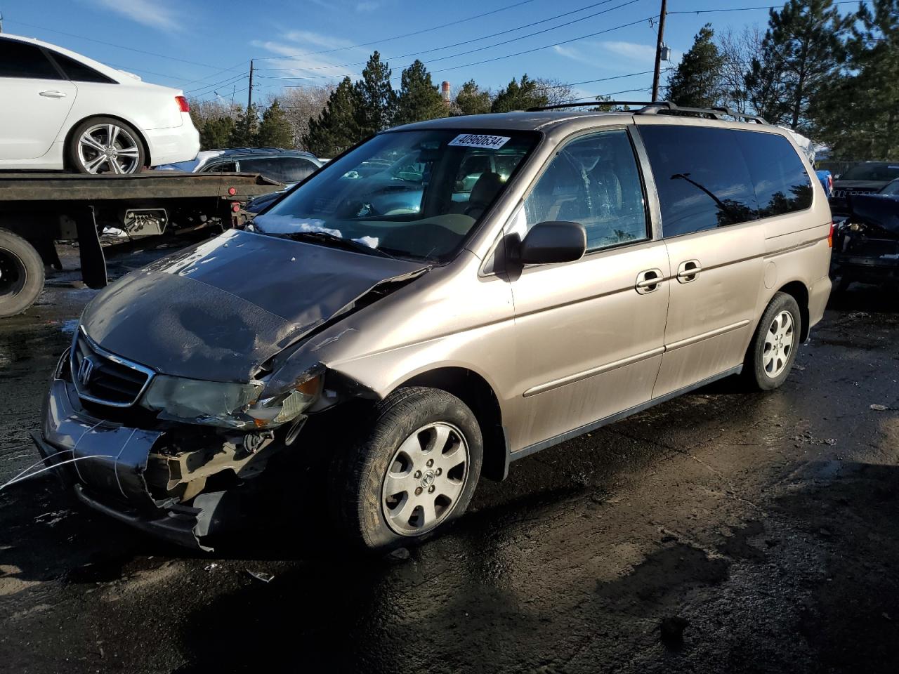 HONDA ODYSSEY 2004 5fnrl18634b002071