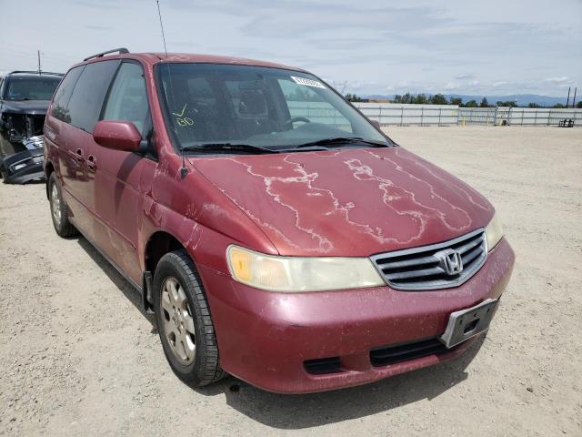 HONDA ODYSSEY EX 2002 5fnrl18652b051964