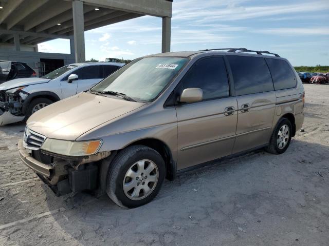 HONDA ODYSSEY EX 2004 5fnrl18734b084196